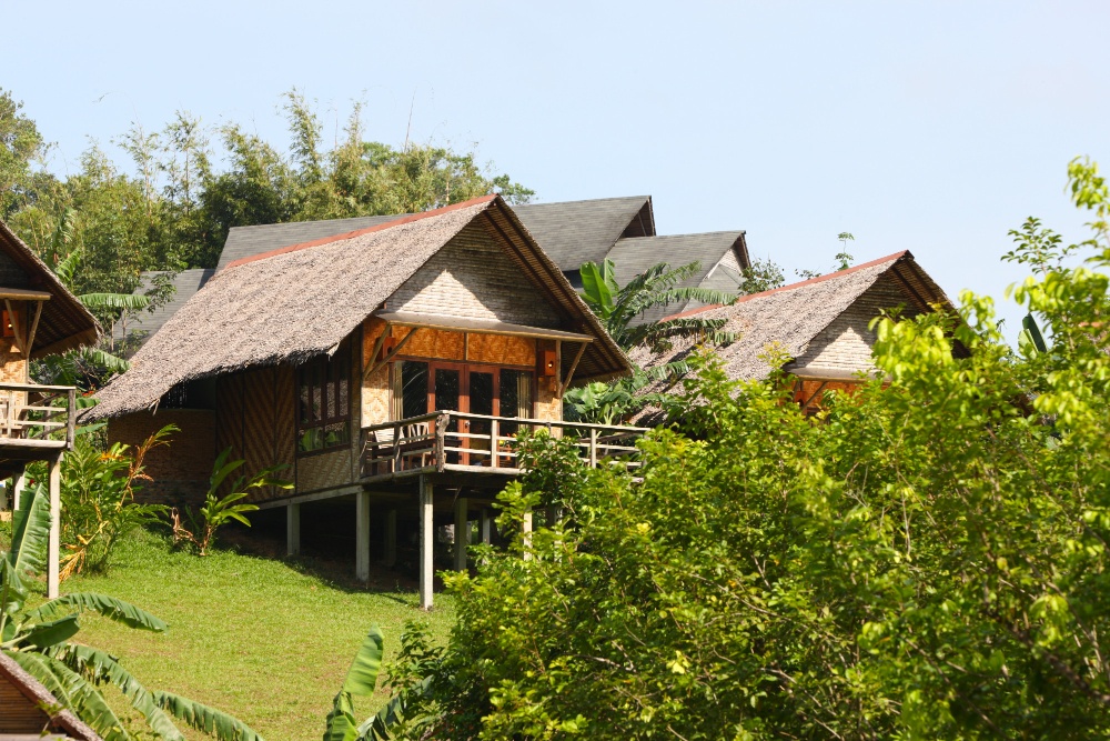 thatch-roof-house thatch-roof-house